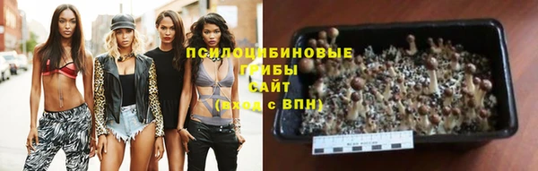 бошки Новозыбков