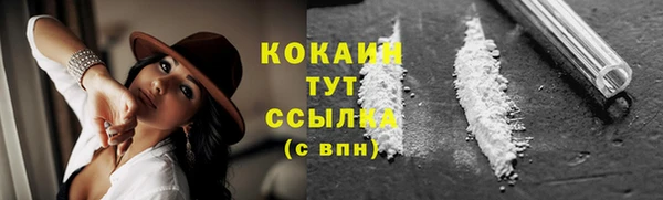 трава Саяногорск