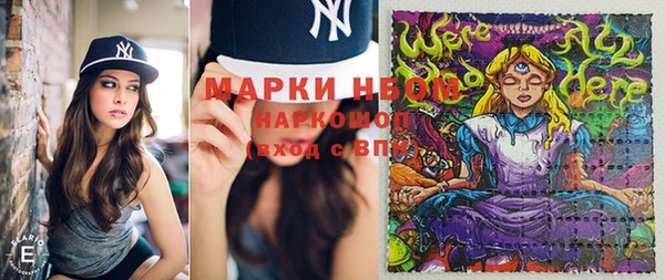 бошки Новозыбков