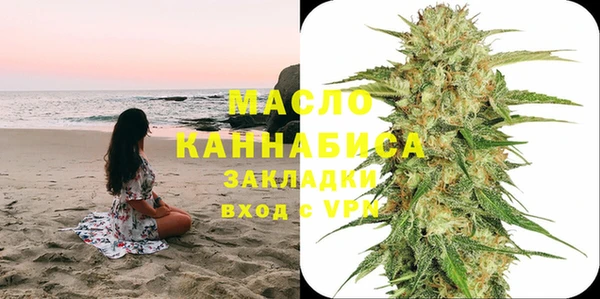 метадон Инта