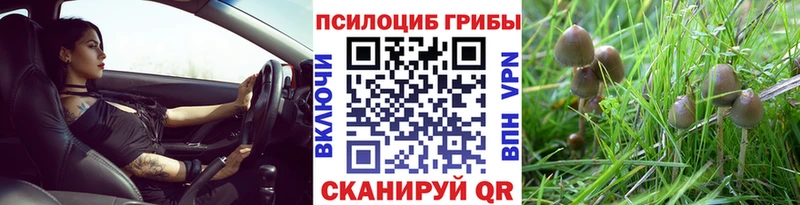 ссылка на мегу   Каневская  Псилоцибиновые грибы GOLDEN TEACHER 